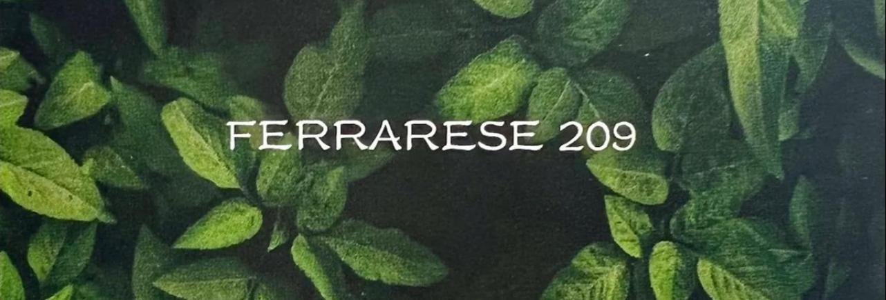 Apartmán Ferrarese209 Boloňa Exteriér fotografie
